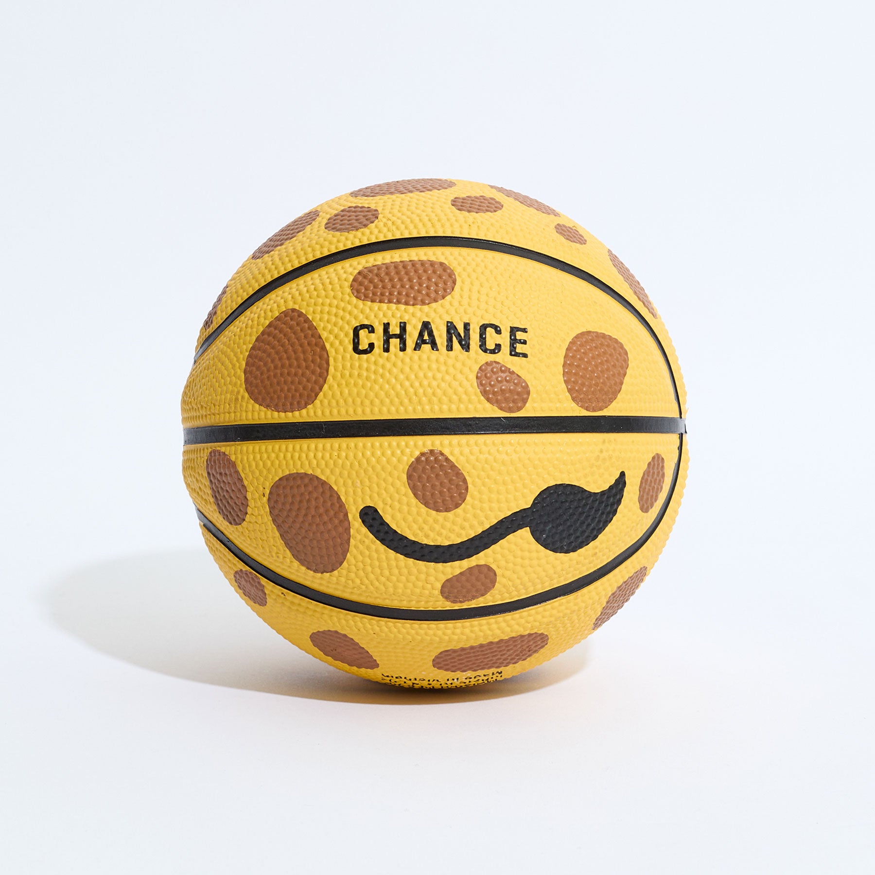 Geoff Mini Basketball