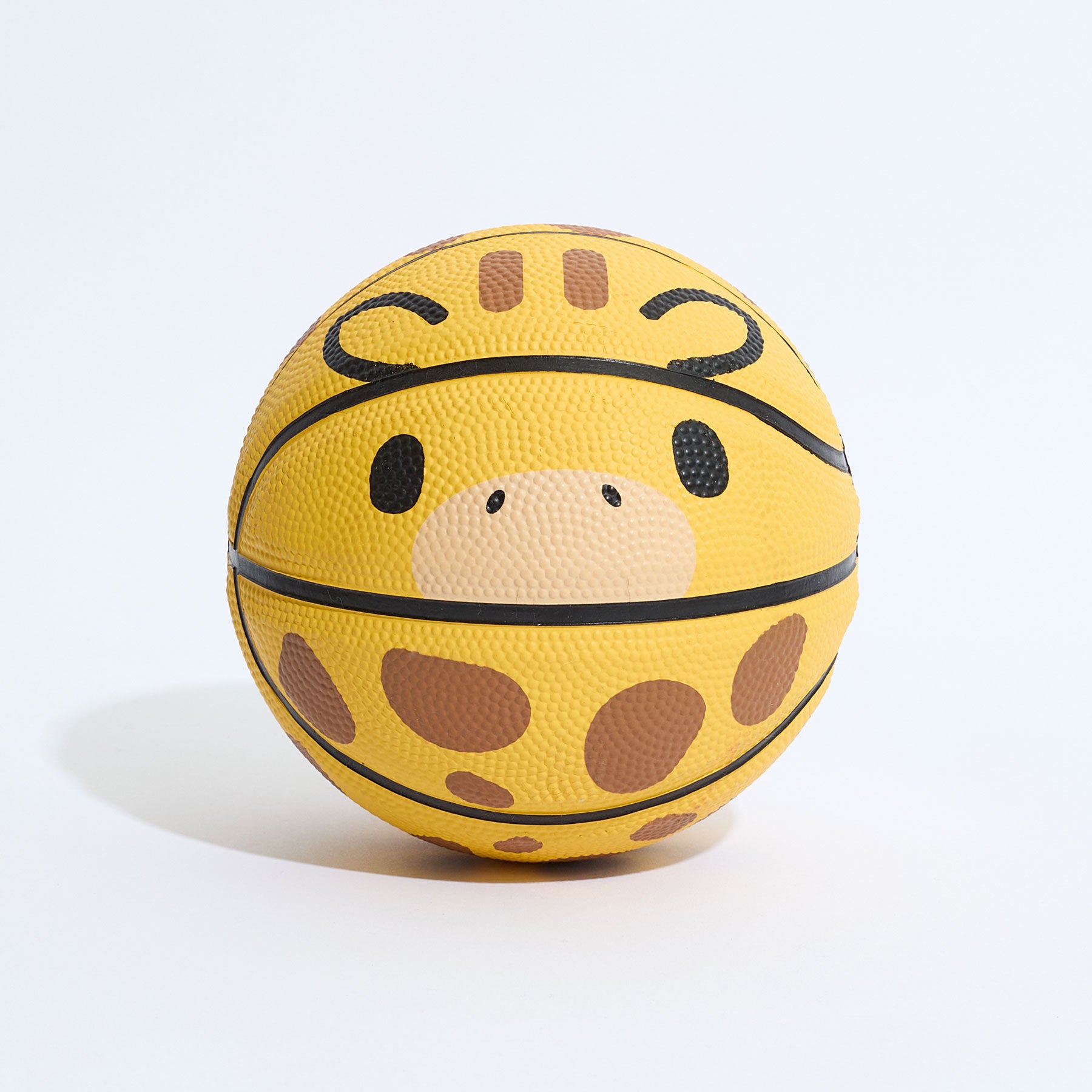 Geoff Mini Basketball