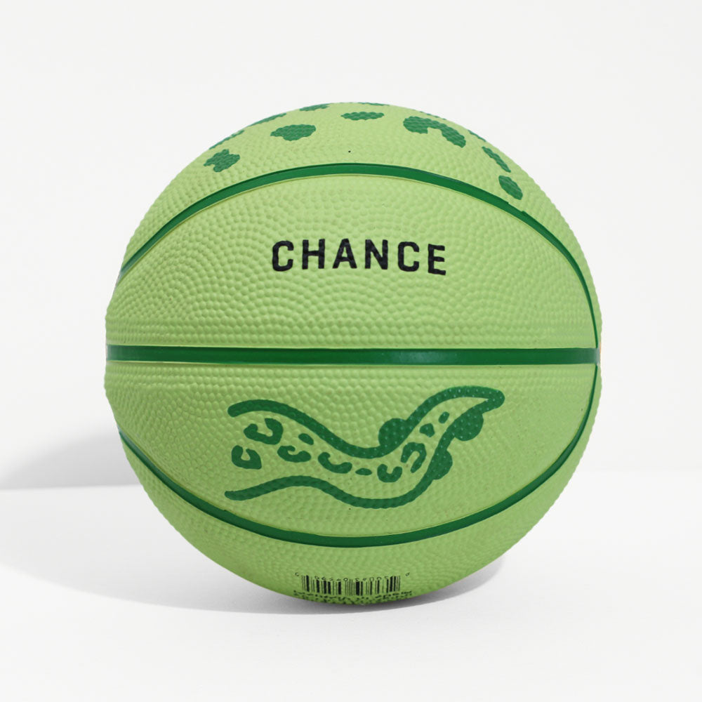 Gecko Mini Baskeball