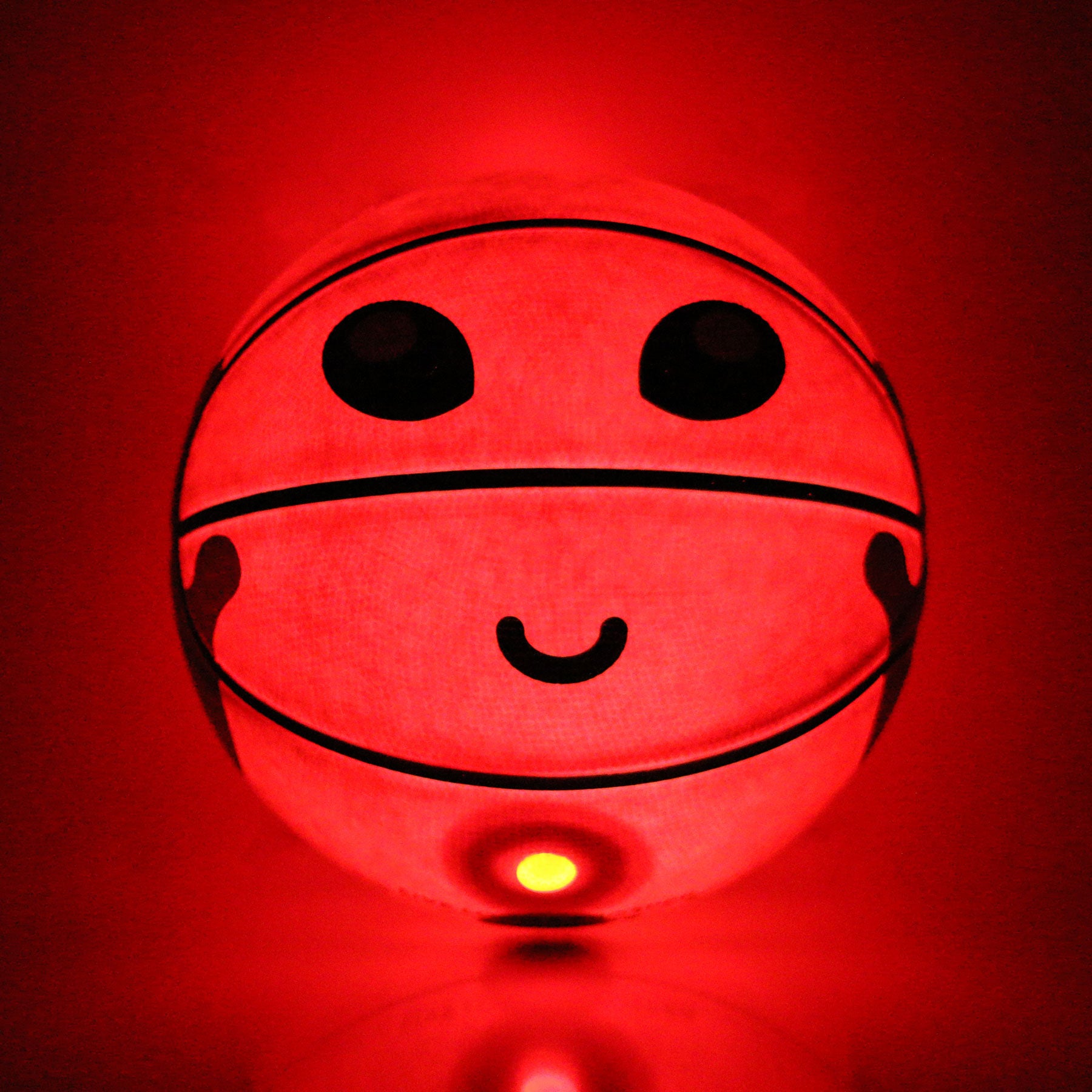 Marty LED Basketball