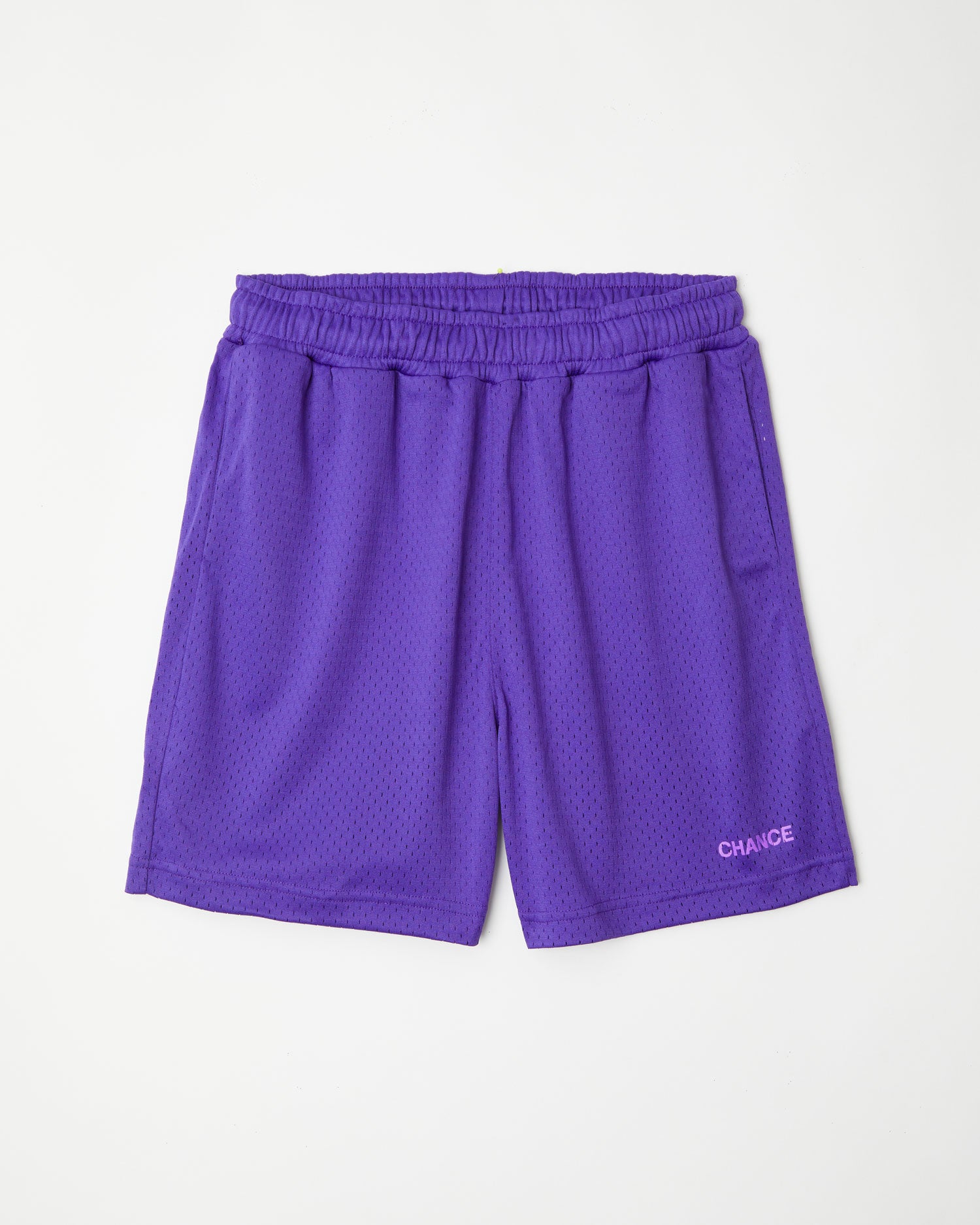 Mesh Shorts - Purple